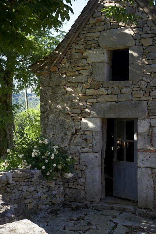 Calvignac Mas De Garrigue B&B 외부 사진